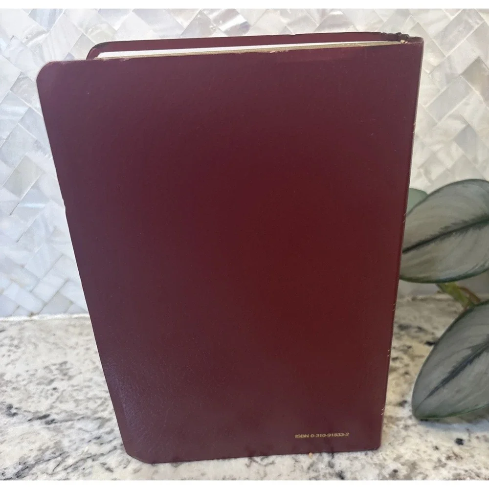 Zondervan Red Holy Bible With Helps New International Version ZonderKidz